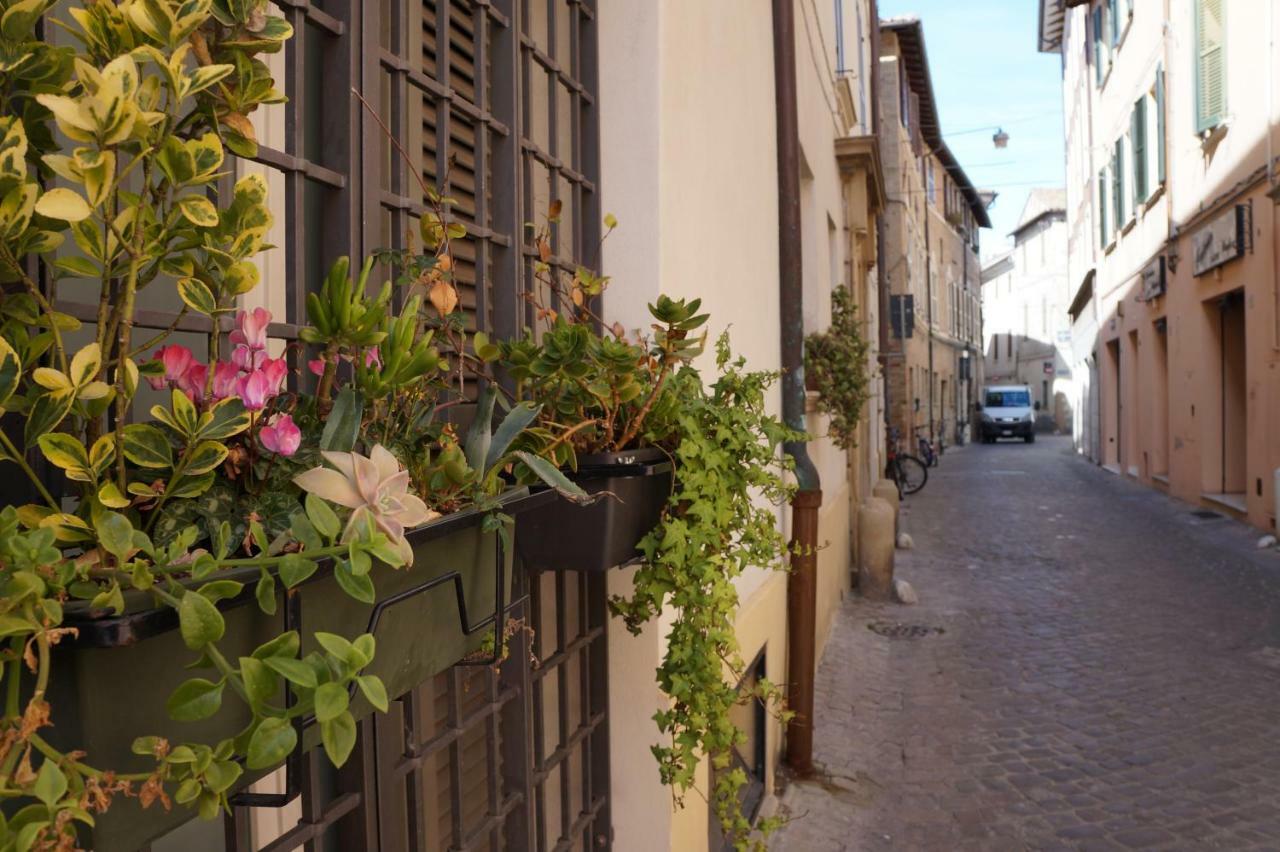 Il Vicolo 48 Bed & Breakfast Pesaro Exterior foto